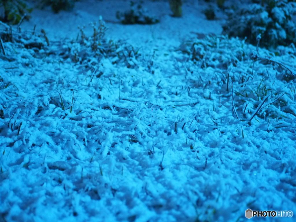 積雪2センチメートル