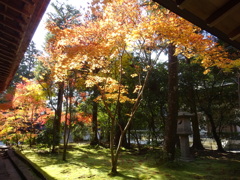 京都・紅葉
