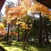 京都・紅葉