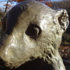 動物園