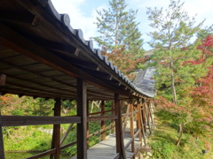 京都