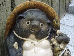像