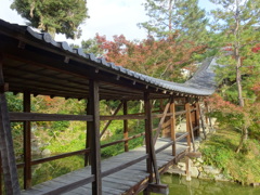 京都