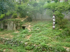 動物園