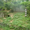 動物園