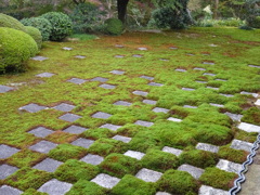 京都