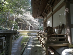 京都