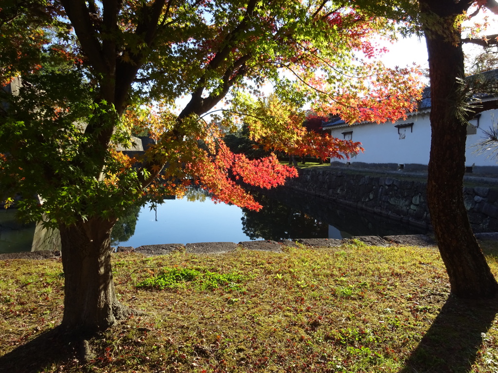 京都・紅葉