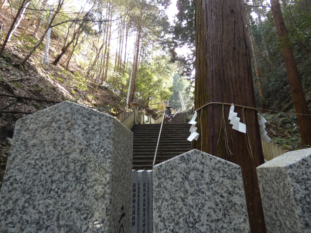 京都