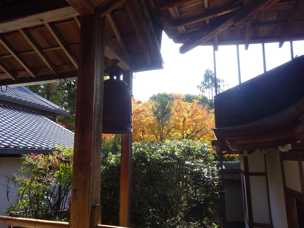 京都・紅葉