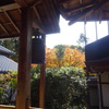 京都・紅葉