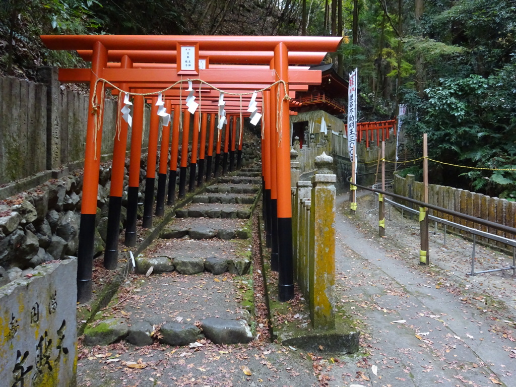 京都