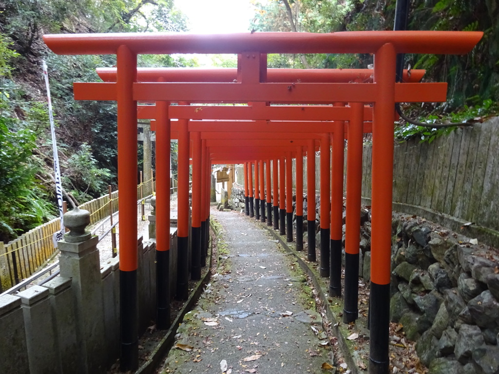 京都