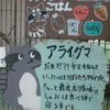 動物園
