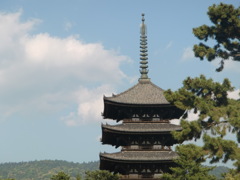 奈良