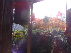 京都・紅葉