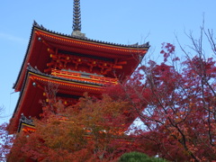 京都・紅葉