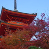 京都・紅葉
