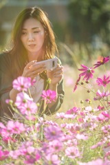 フレアーな秋陽