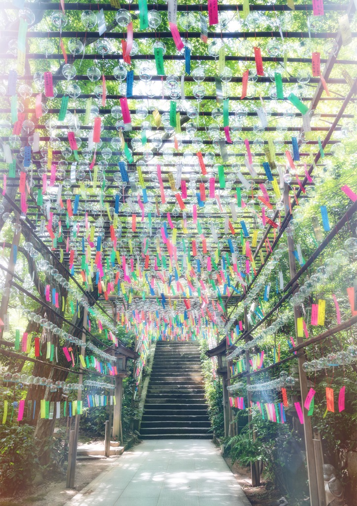 石段に木霊して