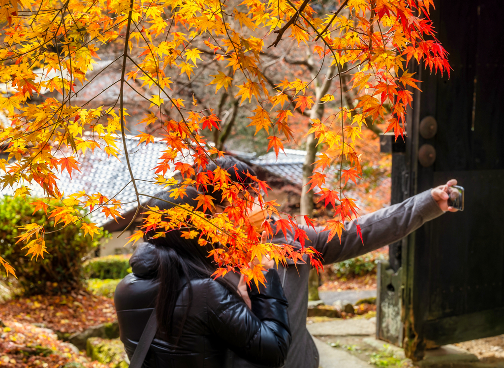 紅と黄を二人で写楽