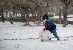 雪を転がせ！