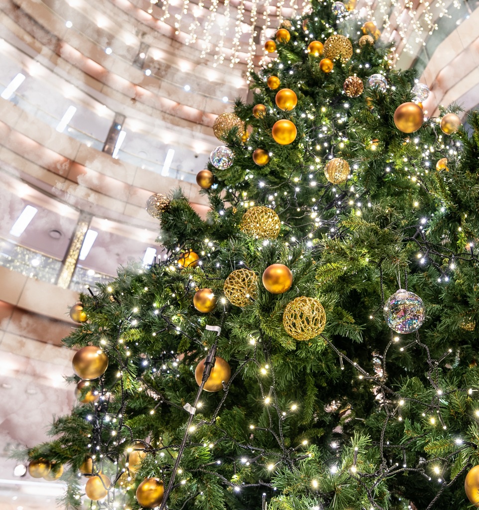 Christmas tree in the haze