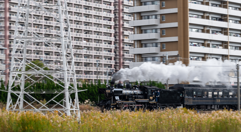 コンテンポラリーな時空の中で