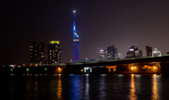 夜更けにタワーが観たいから