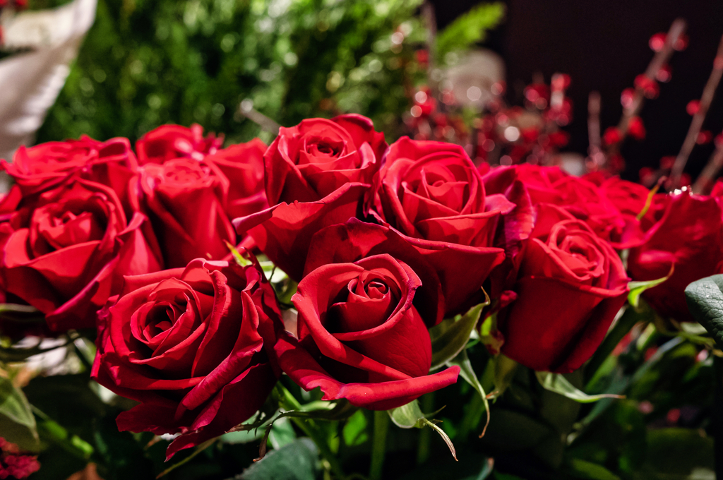 Gift to You
