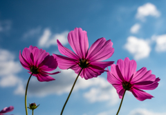 秋空に純潔を誓って