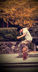 Autumn flip