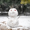粉雪が連れてきた癒し