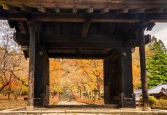 黒門・暮れの秋