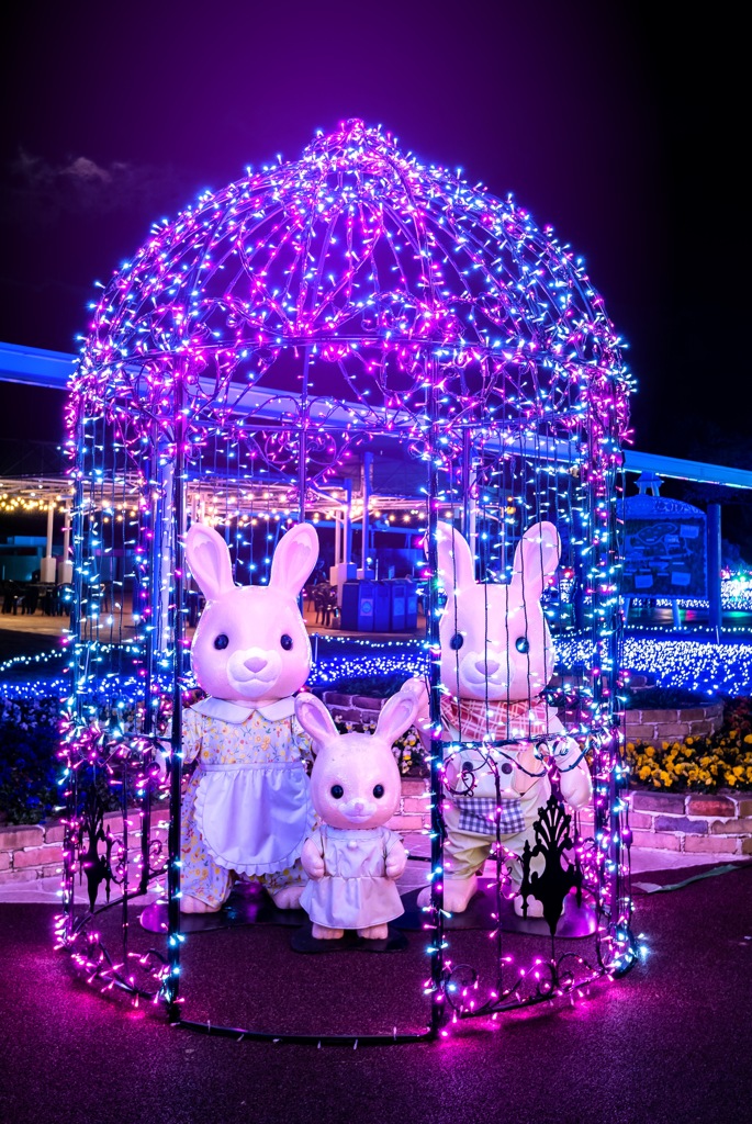 Rabbit welcome