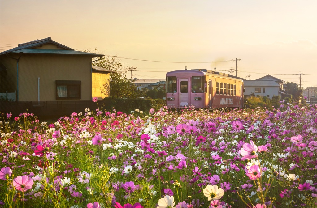 秋思気 夕暮れ行き