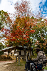 古刹で秋描けば