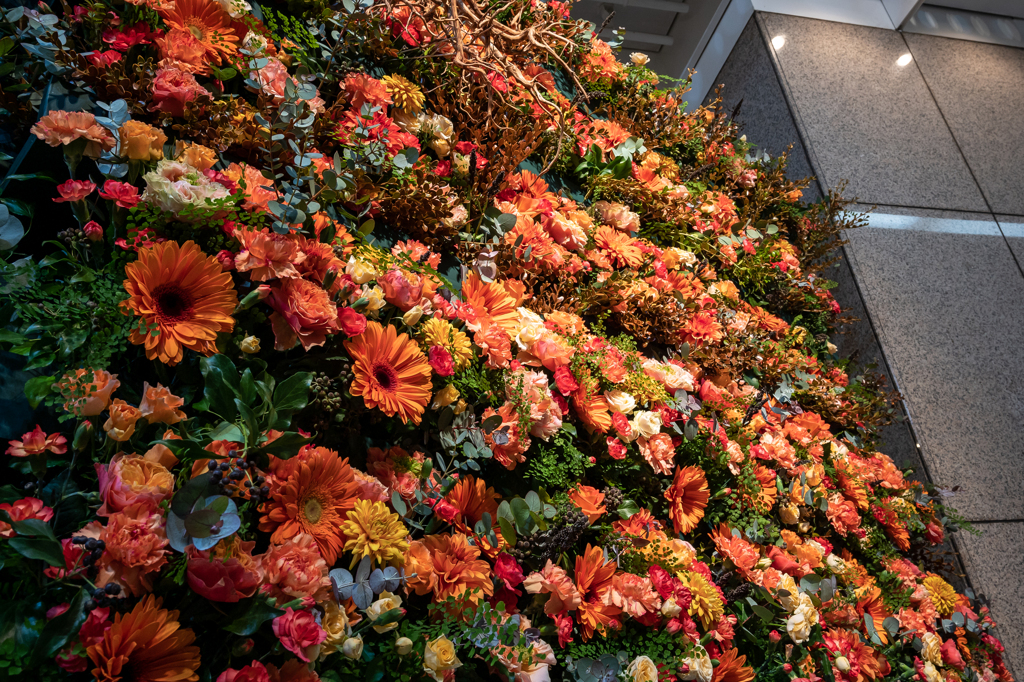 Tangerine-colored wall