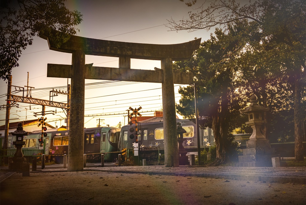 新道へと続く 軌道