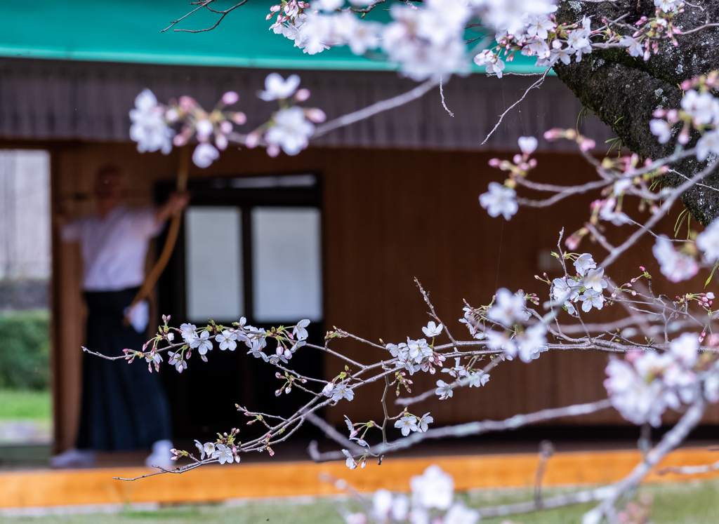 「真・善・美」と共に