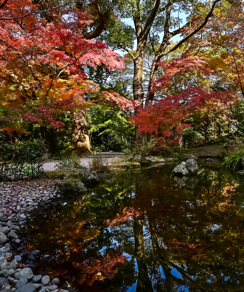 水面に映る秋模様