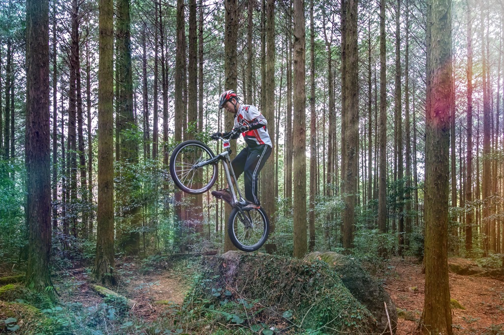 Woodlandの遊技士