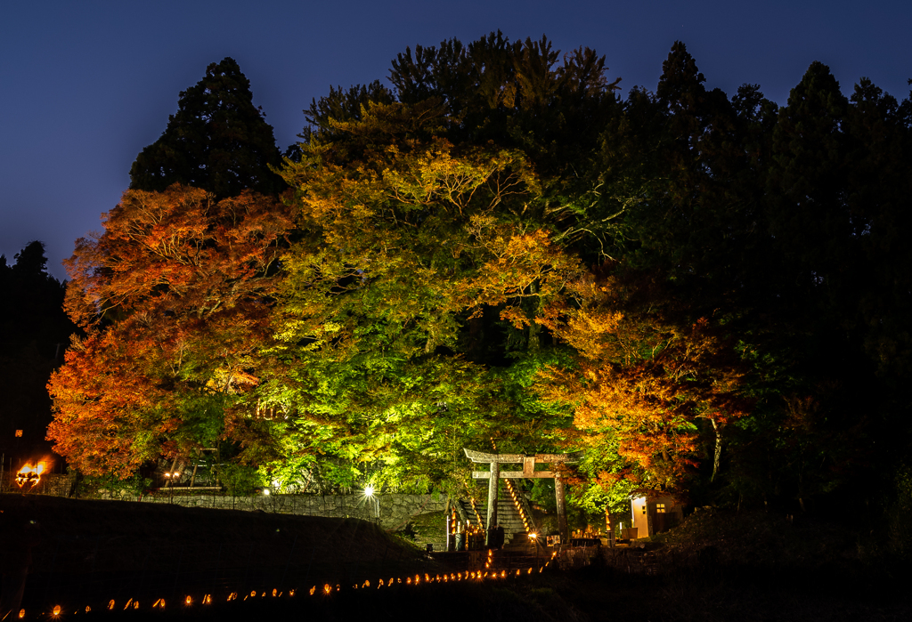 八百万の神に 夜の帳が