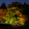 八百万の神に 夜の帳が