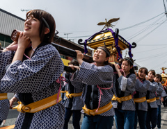 咲いて魅せてよ 女の神輿−５