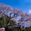 Hita de Sakura