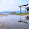 雨上がりの歌棄の神社