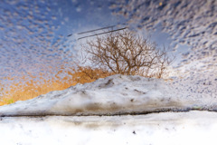 雪が溶けてる〜