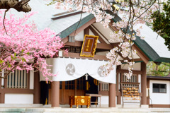 岩内神社 岩内神社