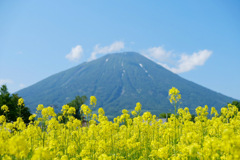 蝦夷富士山